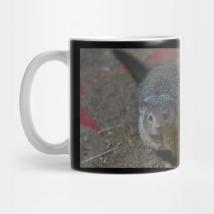 Mongoose Mug